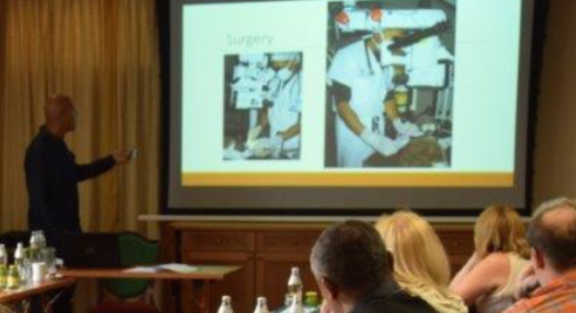 Vétérinaire Nyon, Veterinaire Nyon, Nyon Veterinaire, Nyon Vétérinaire, cabinet vétérinaire Nyon, cabinet veterinaire Nyon, clinique vétérinaire Nyon, vétérinaire de Garde Nyon,veterinaire de Garde Nyon, Cabinet Vétérinaire International