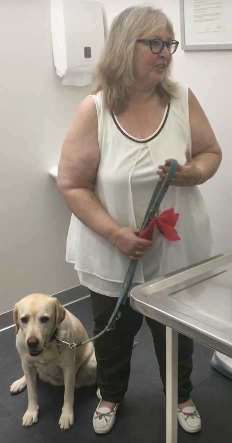 Vétérinaire Nyon, Veterinaire Nyon, Nyon Veterinaire, Nyon Vétérinaire, cabinet vétérinaire Nyon, cabinet veterinaire Nyon, clinique vétérinaire Nyon, vétérinaire de Garde Nyon,veterinaire de Garde Nyon, Cabinet Vétérinaire International